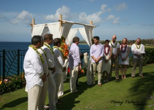 Gay wedding in Maui
