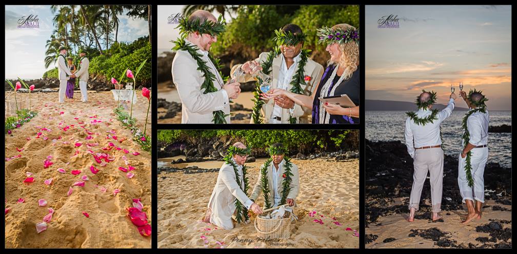 gay Hawaii weddings