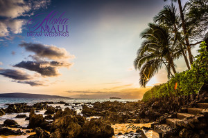 maui wedding beach