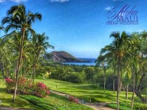 Maui wedding venue view