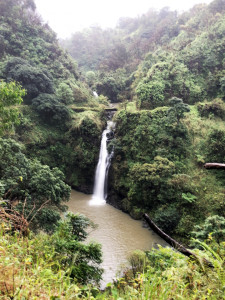 Maui waterfalls