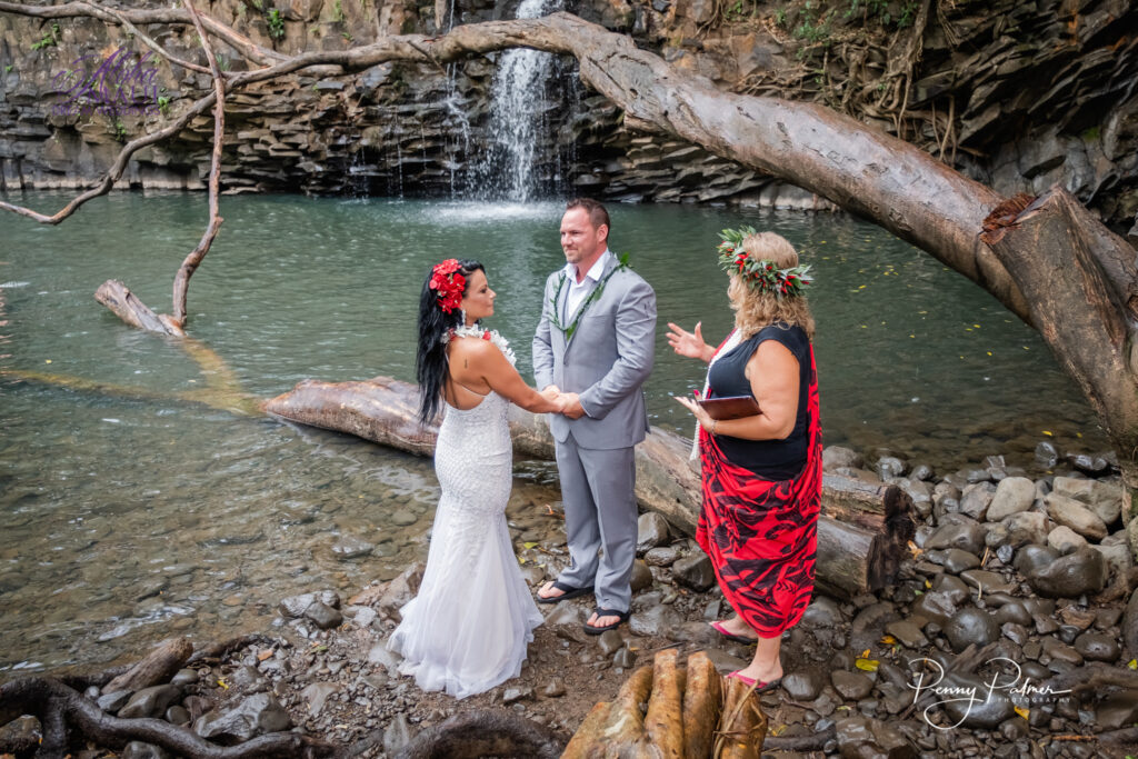 waterfall wedding