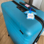 AWAY Suitcase