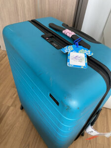 AWAY Suitcase